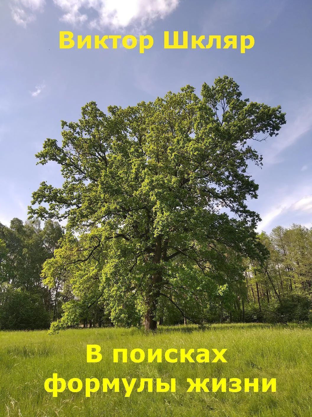 Обложка В поисках формулы жизни