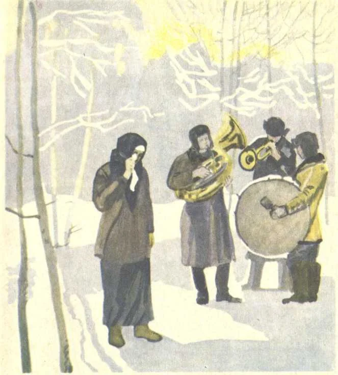 Обложка Снежные поля