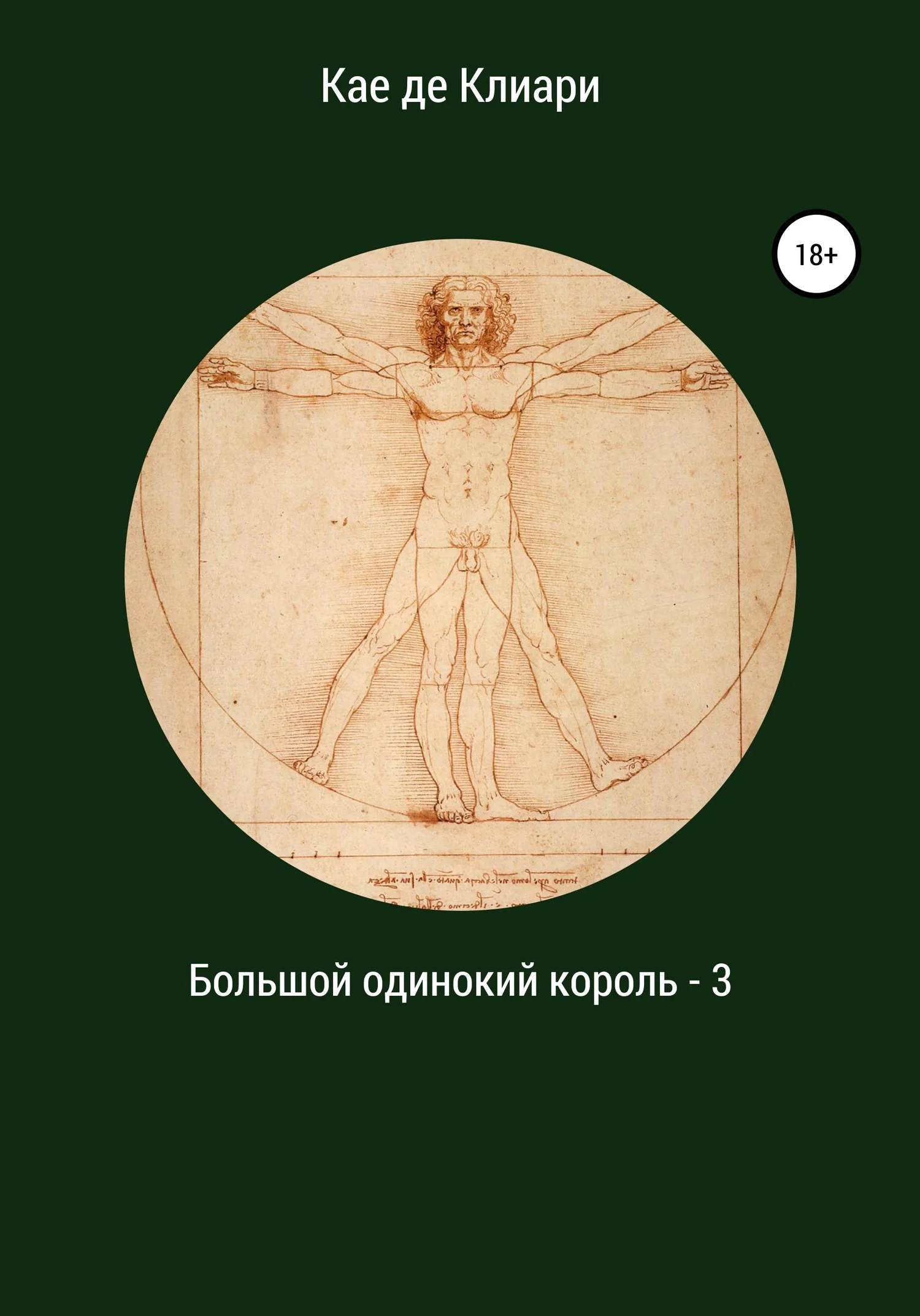 Обложка Большой одинокий король 3