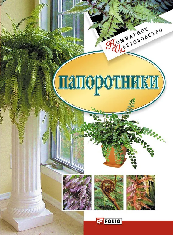 Обложка Папоротники