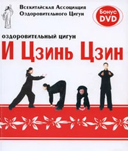 Обложка Оздоровительный цигун И Цзинь Цзин