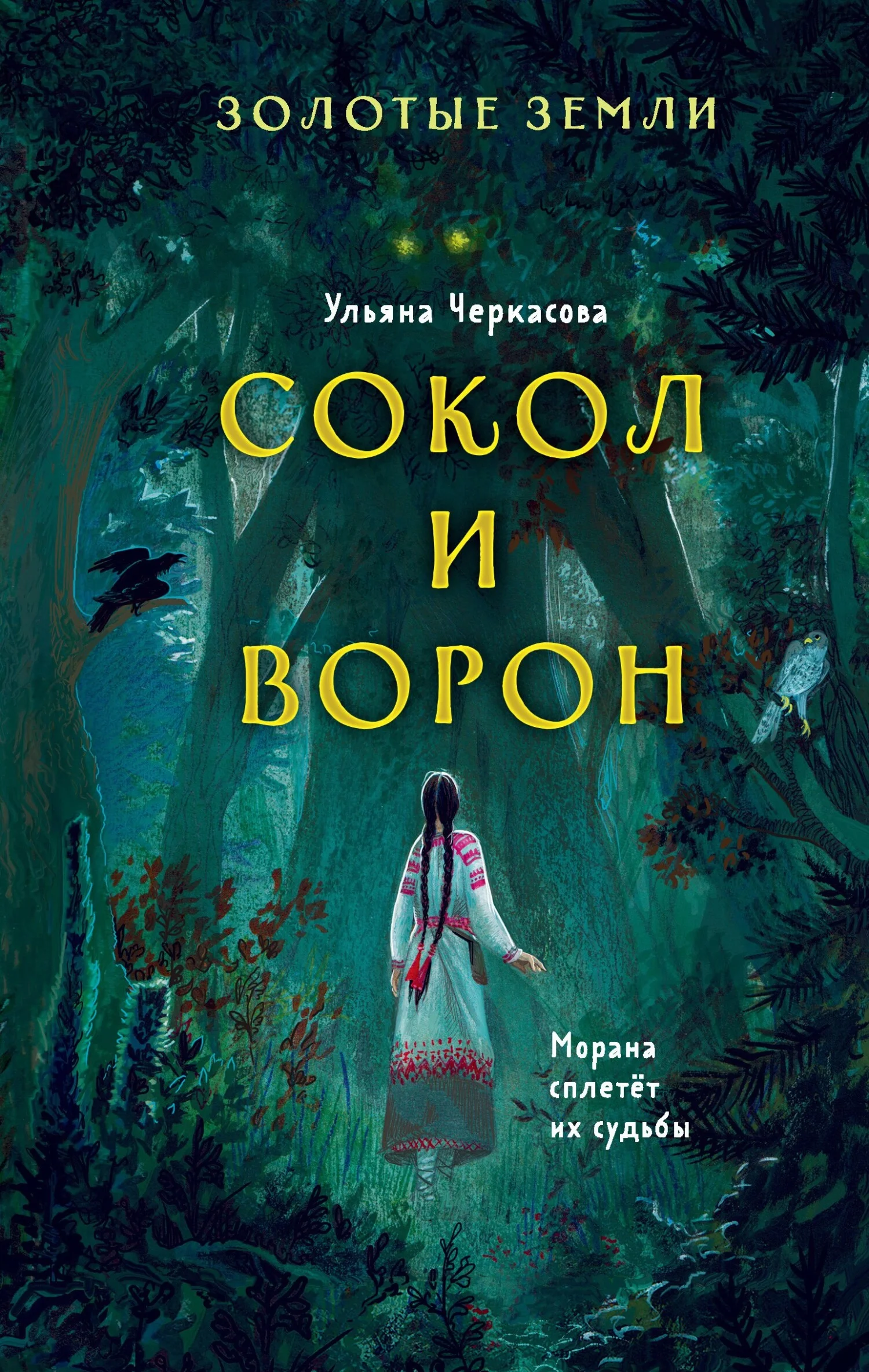 Обложка Сокол и Ворон