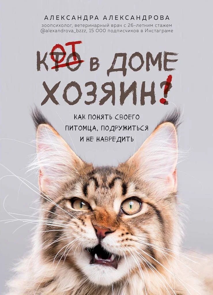 Обложка Кот в доме хозяин! Как понять своего питомца, подружиться и не навредить