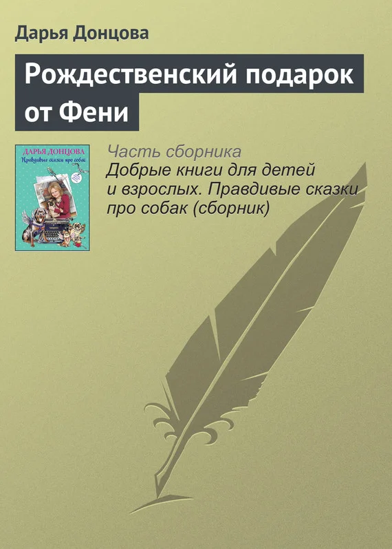 Обложка Рождественский подарок от Фени