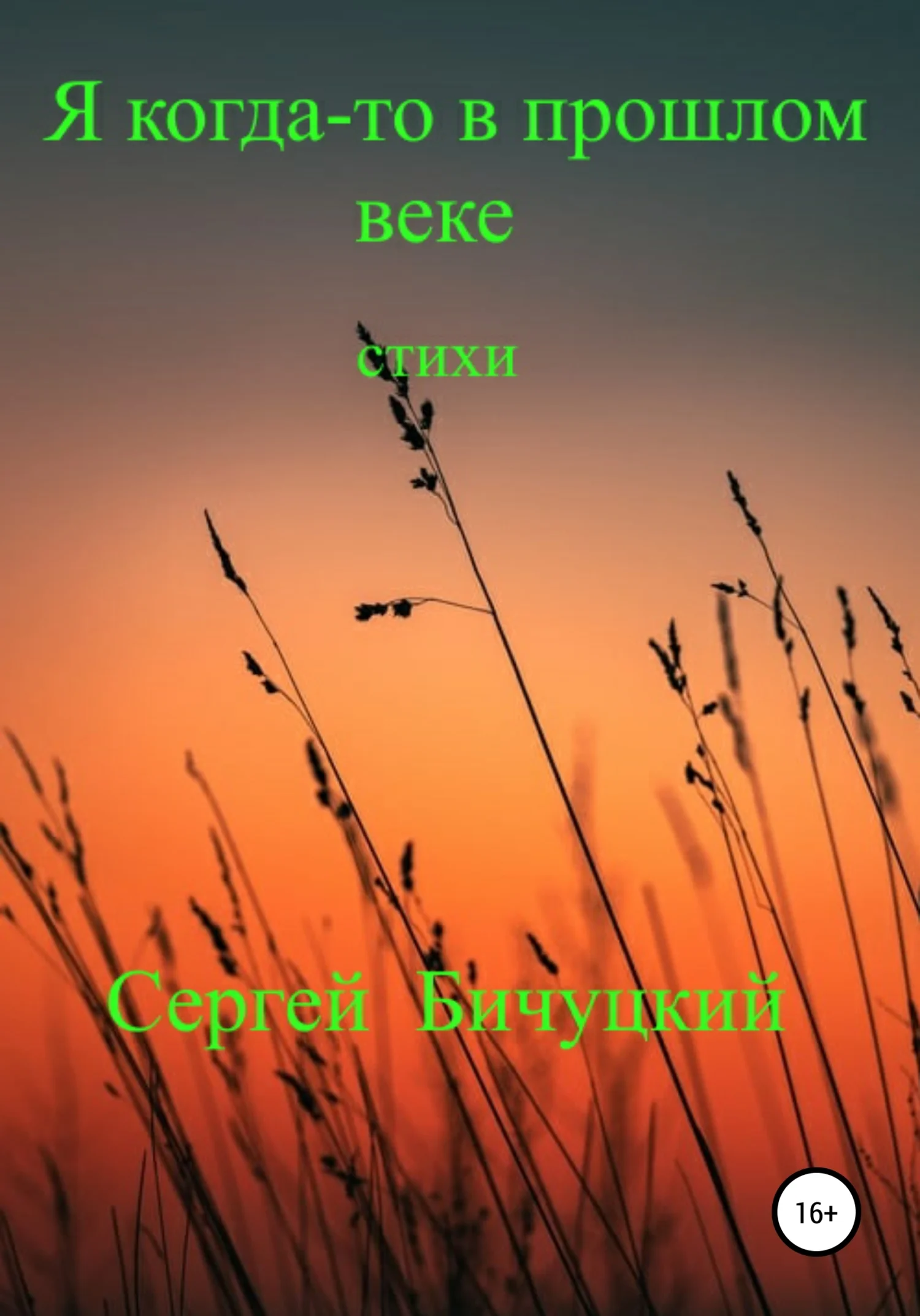 Обложка Я когда-то в прошлом веке