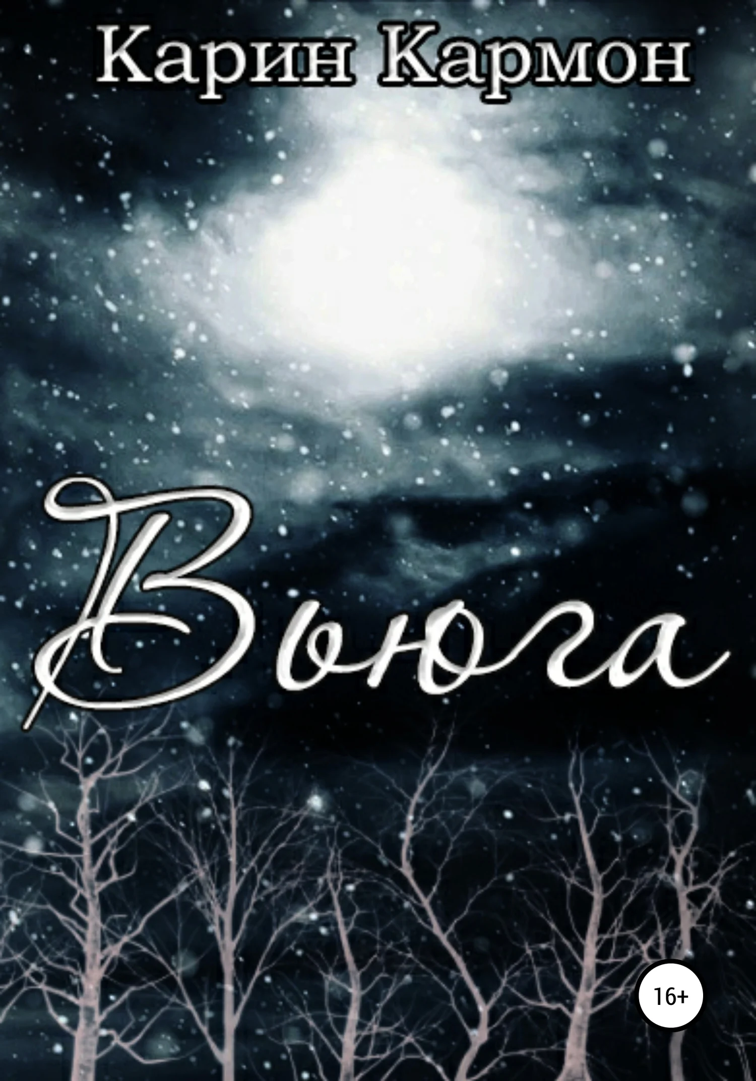 Обложка Вьюга