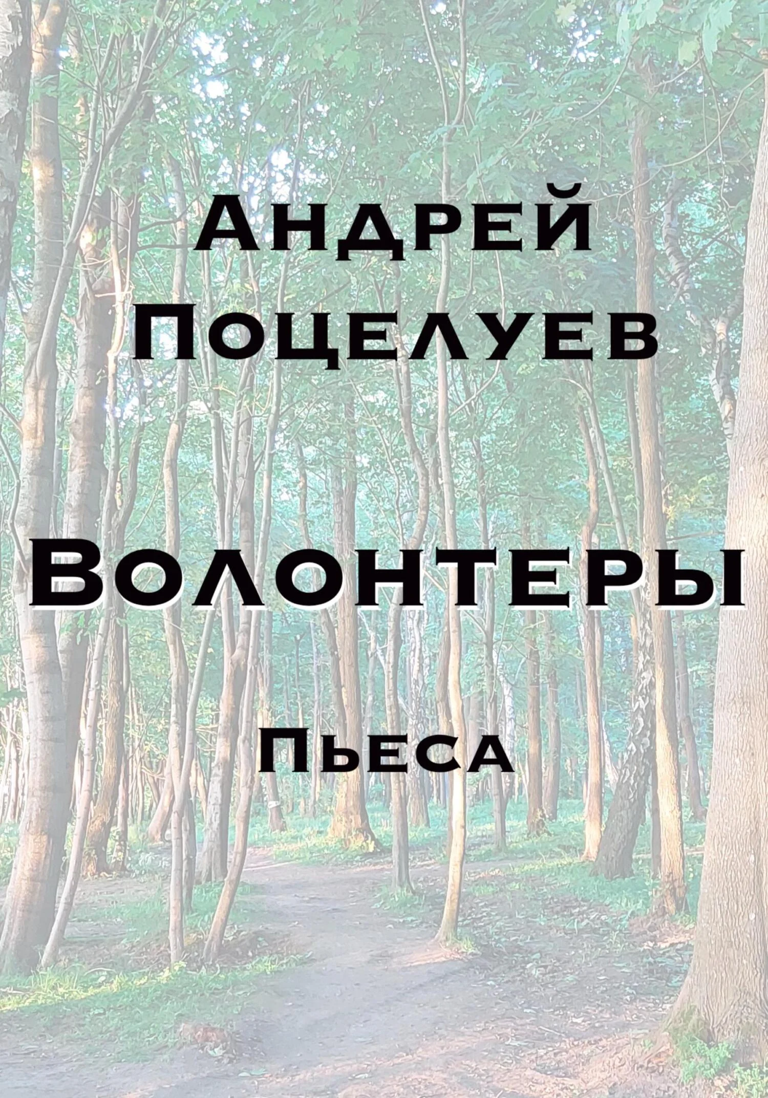 Обложка Волонтеры