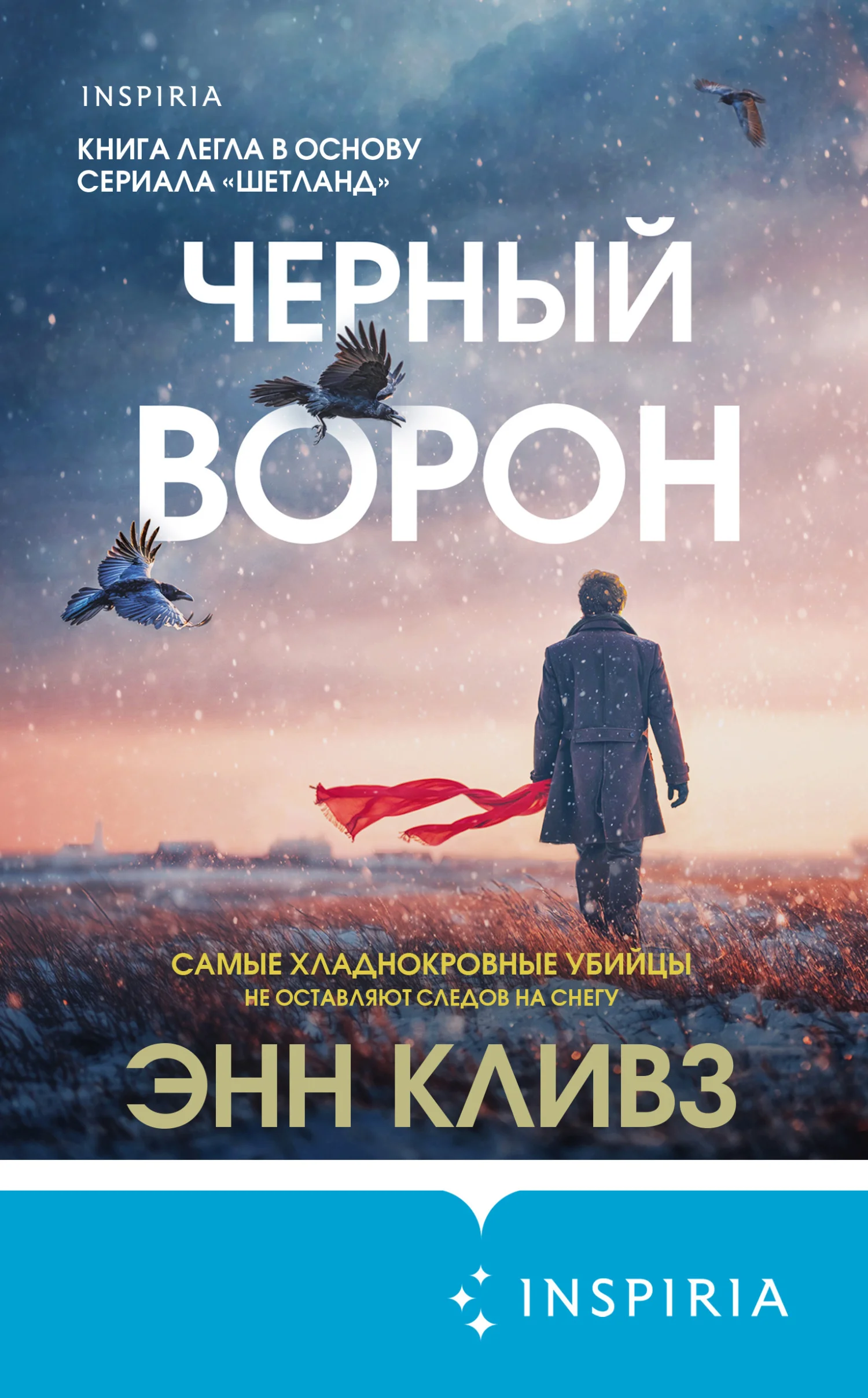 Обложка Черный ворон