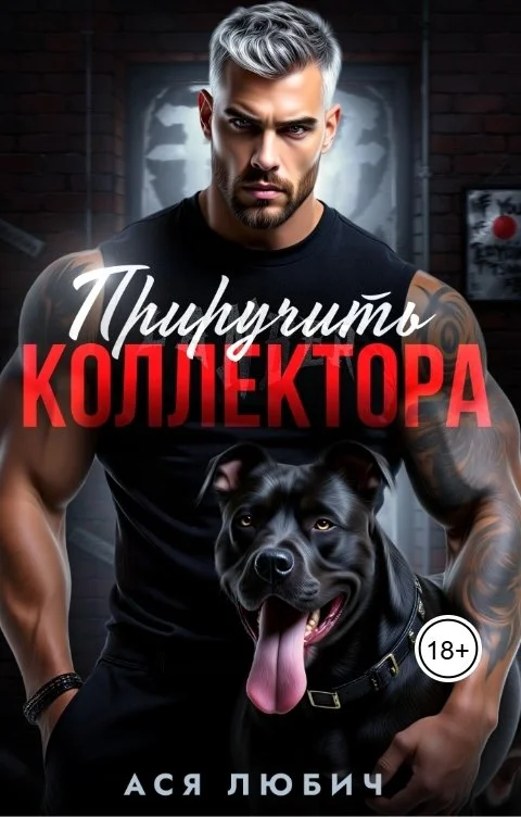 Обложка Приручить коллектора