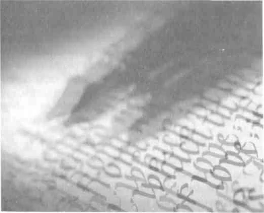 Обложка Сон - тайны и парадоксы