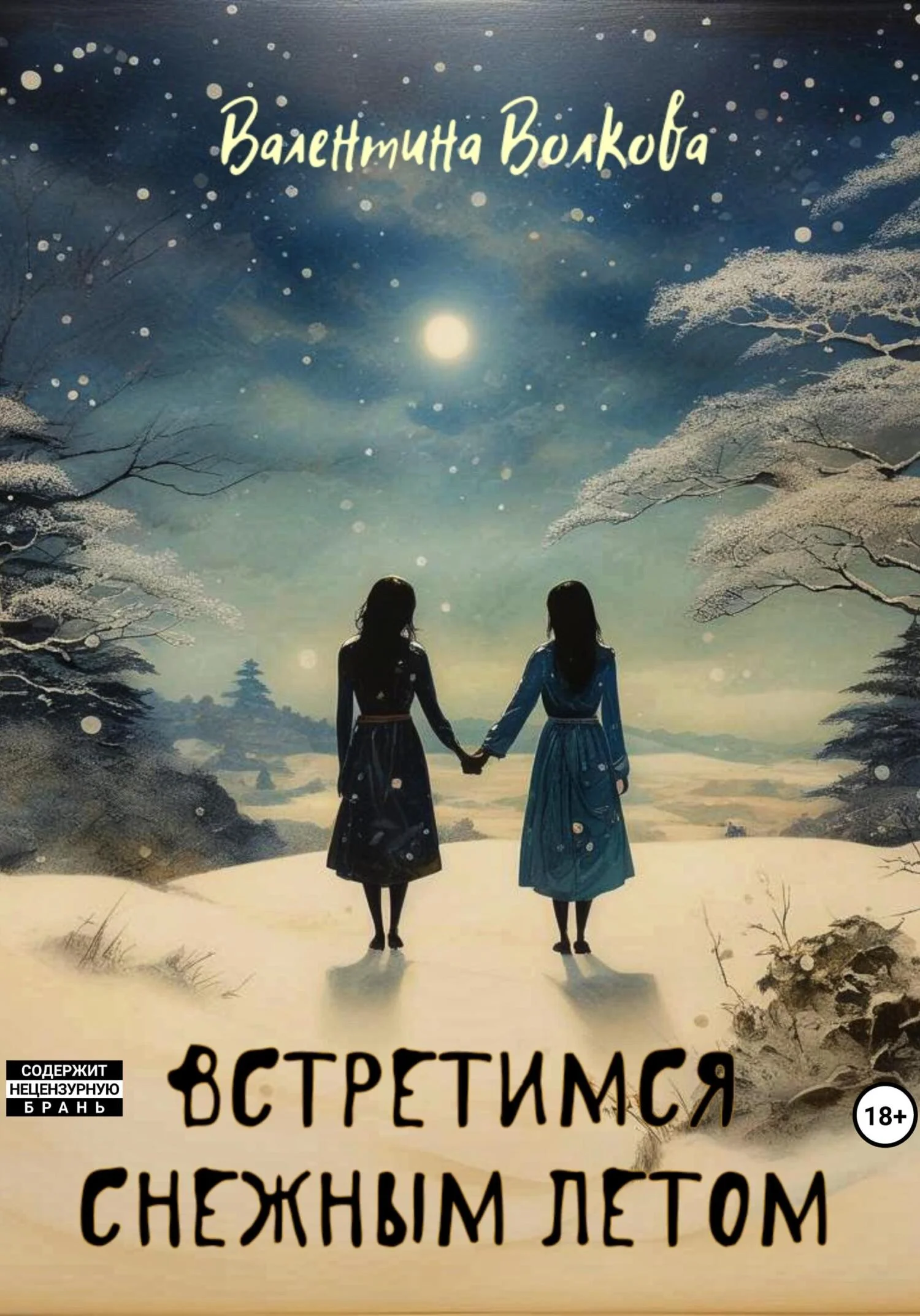 Обложка Встретимся снежным летом