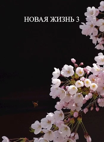 Обложка Новая жизнь 3