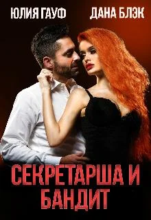 Обложка Секретарша и бандит