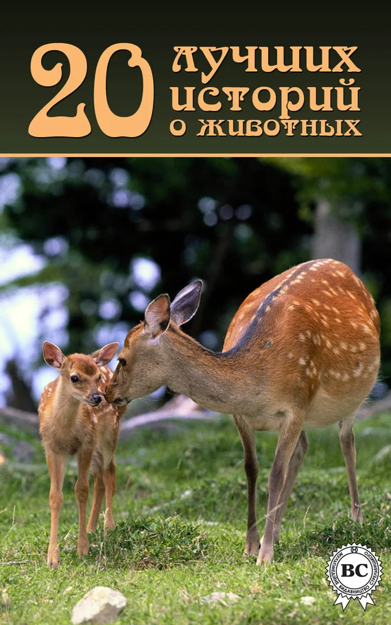 Обложка 20 лучших историй о животных