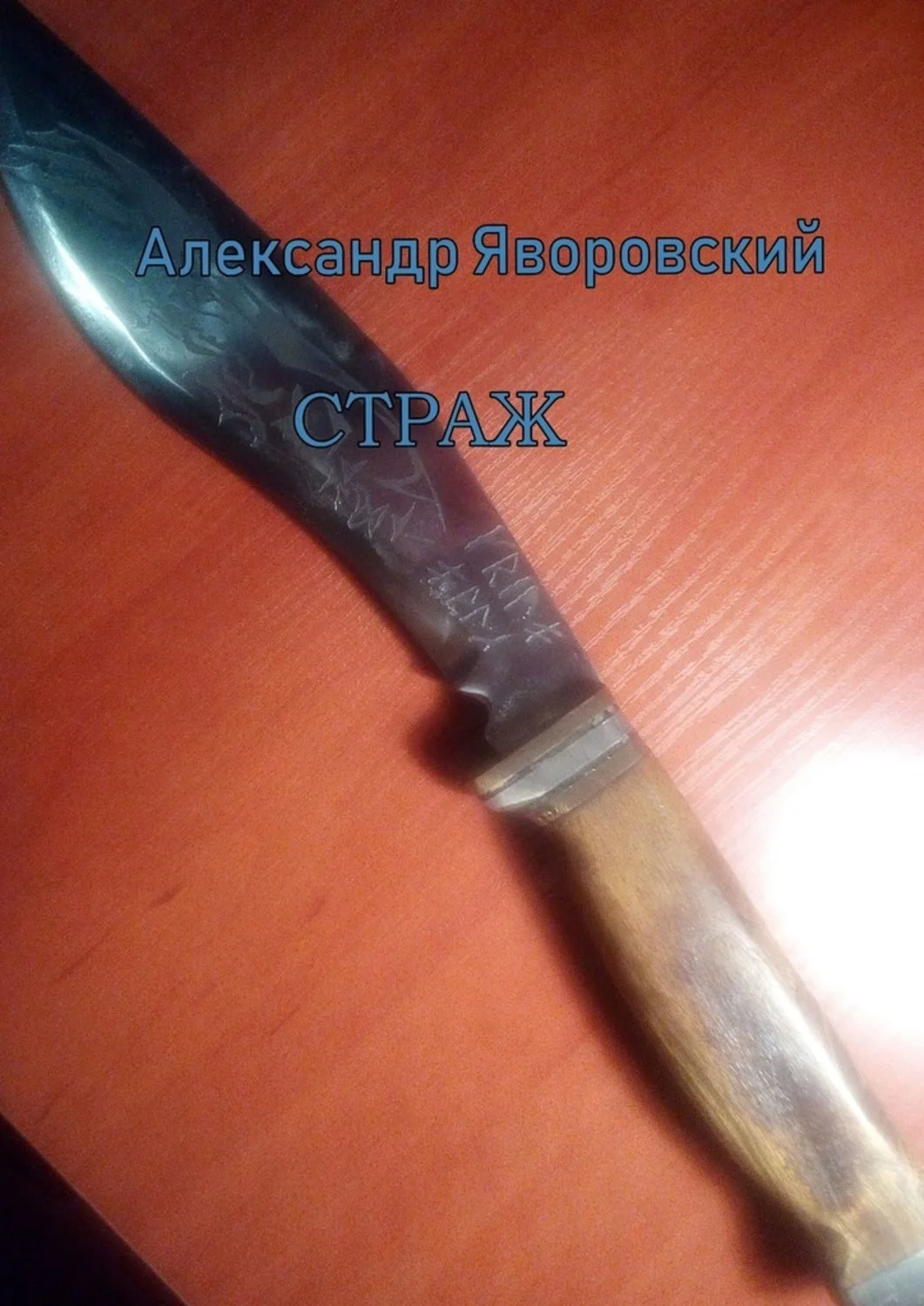 Обложка Страж