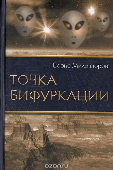 Обложка Точка бифуркации