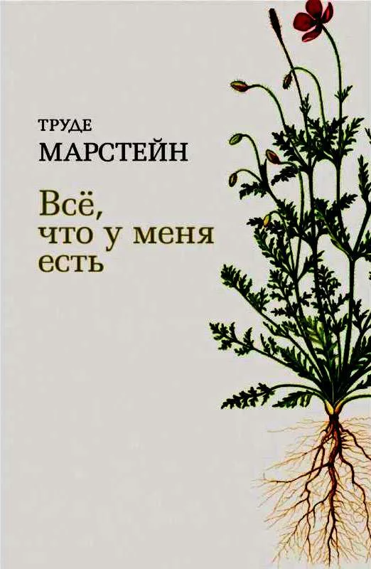 Обложка Всё, что у меня есть