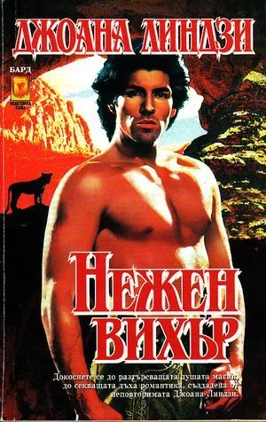 Обложка Нежен вихър