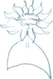 Обложка Основы ныряния с задержкой дыхания