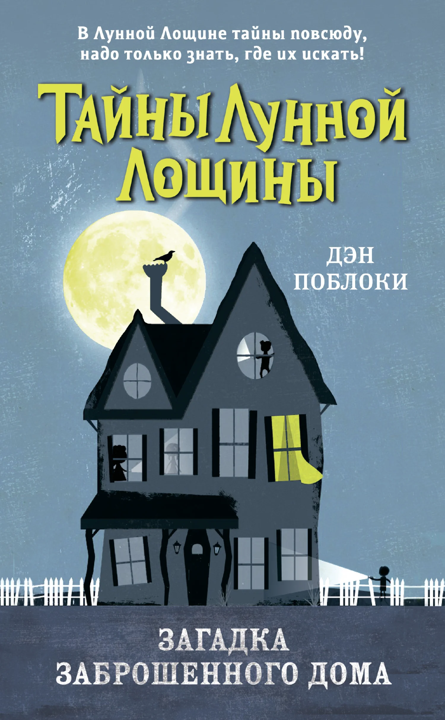 Обложка Загадка заброшенного дома