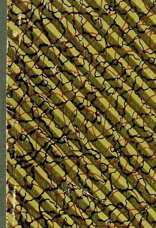 Обложка Нравы русских при Петре Великом