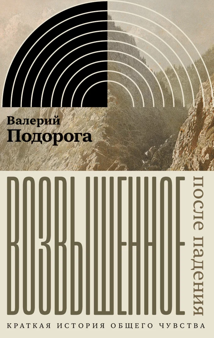 Обложка Возвышенное. После падения. Краткая история общего чувства