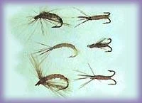 Обложка Советы бывалого рыболова