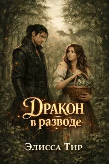 Обложка Дракон в разводе