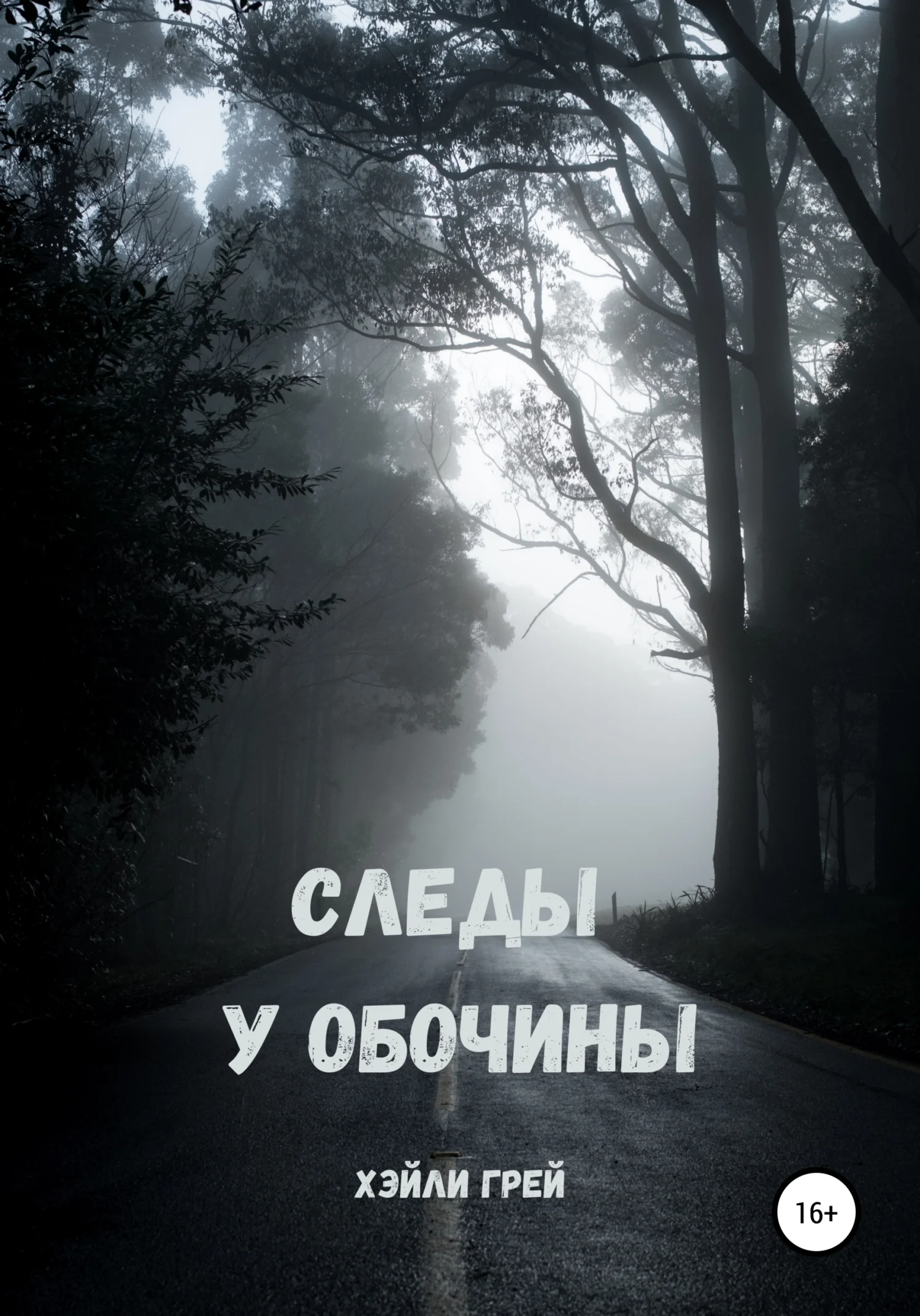 Обложка Следы у обочины