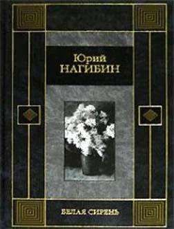 Обложка Белая сирень