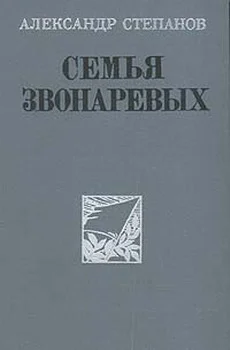 Обложка Семья Звонаревых. Том 2