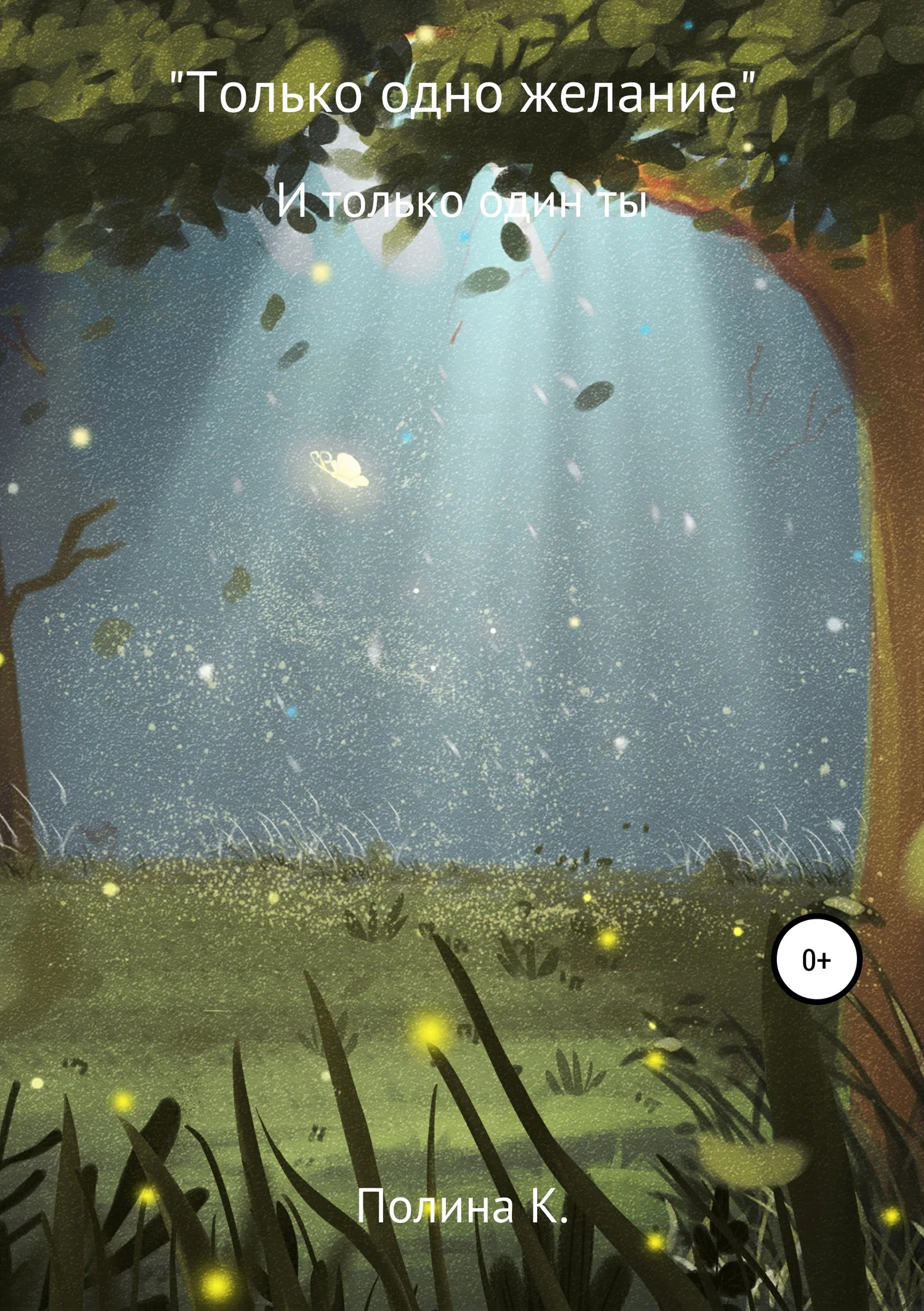 Обложка Только одно желание