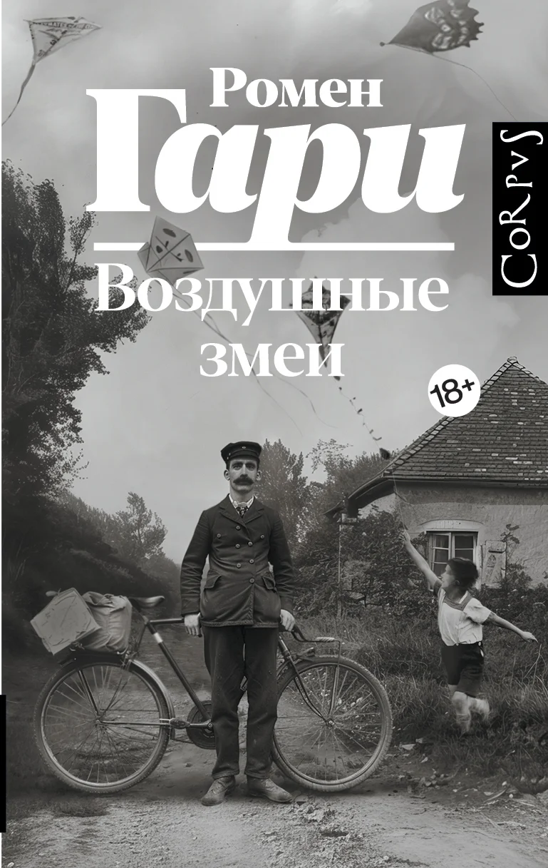 Обложка Воздушные змеи