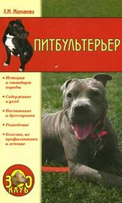 Обложка Питбультерьер