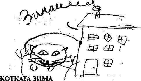 Обложка Котката Зима