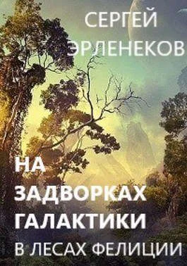 Обложка В лесах Фелиции