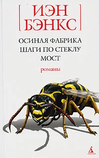 Обложка Шаги по стеклу