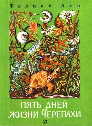 Обложка Пять дней из жизни черепахи