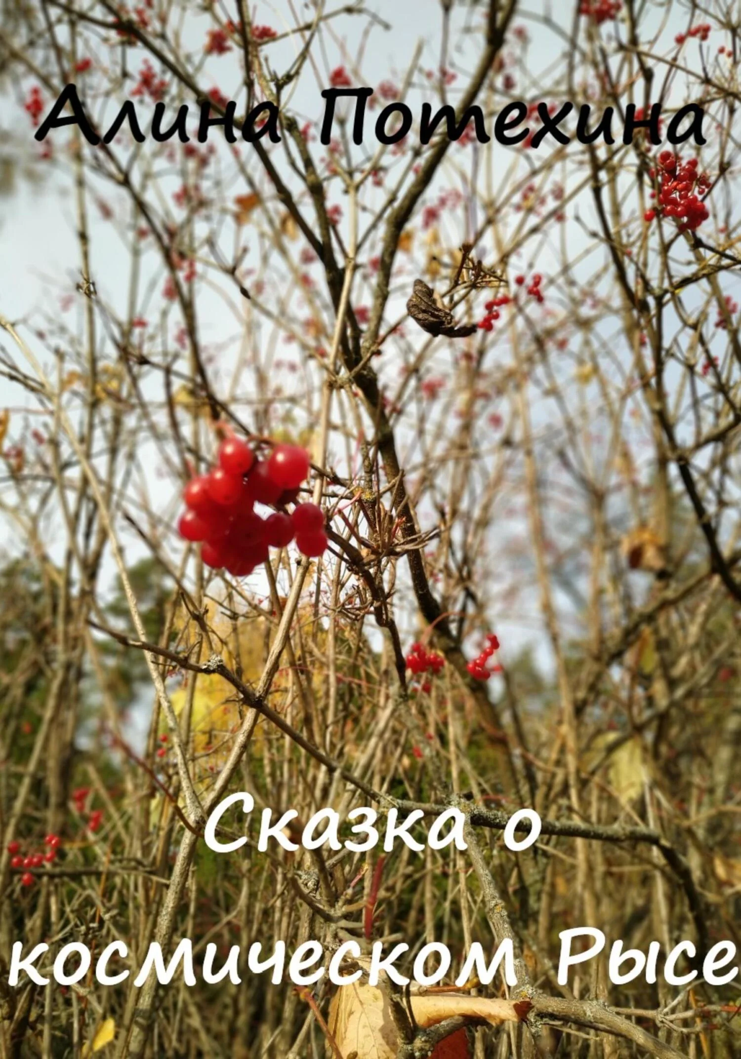 Обложка Сказка о космическом Рысе