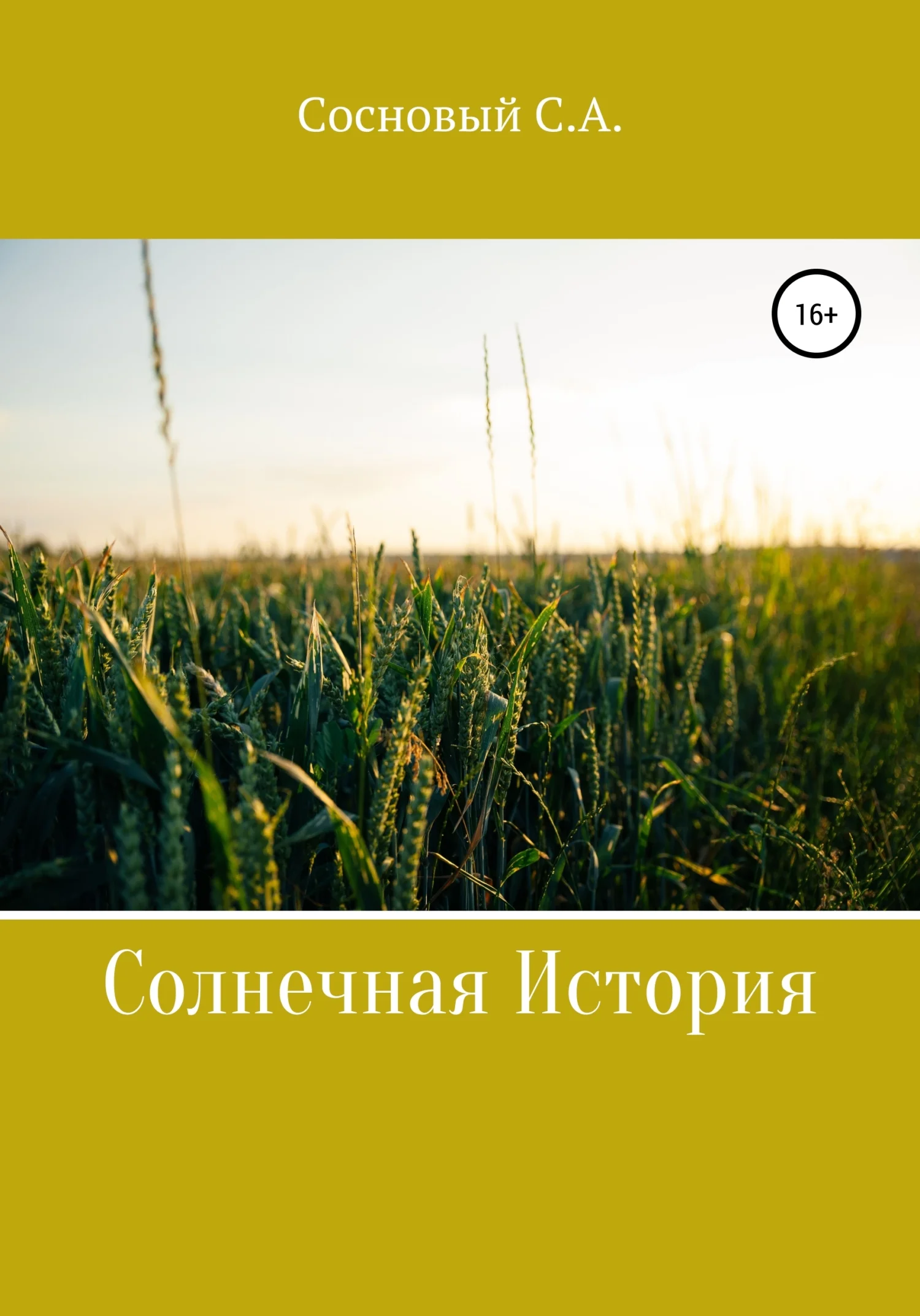 Обложка Солнечная история