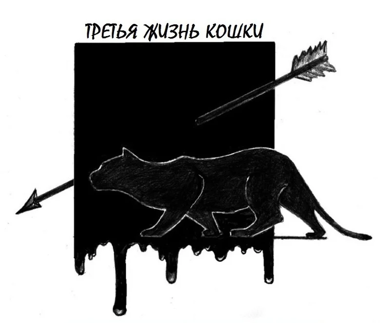 Обложка Третья жизнь кошки