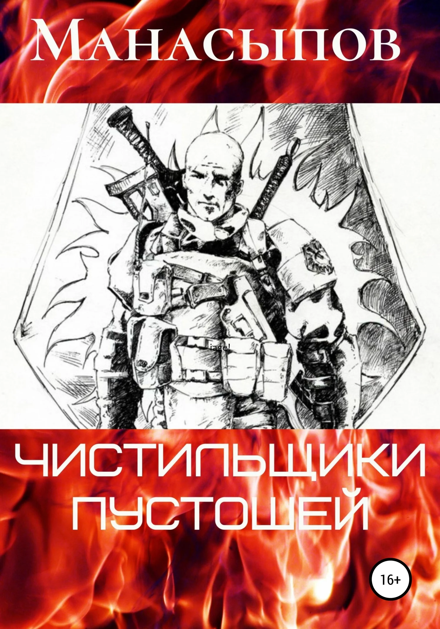 Обложка Чистильщики пустошей-1