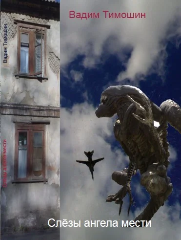 Обложка Слезы ангела мести