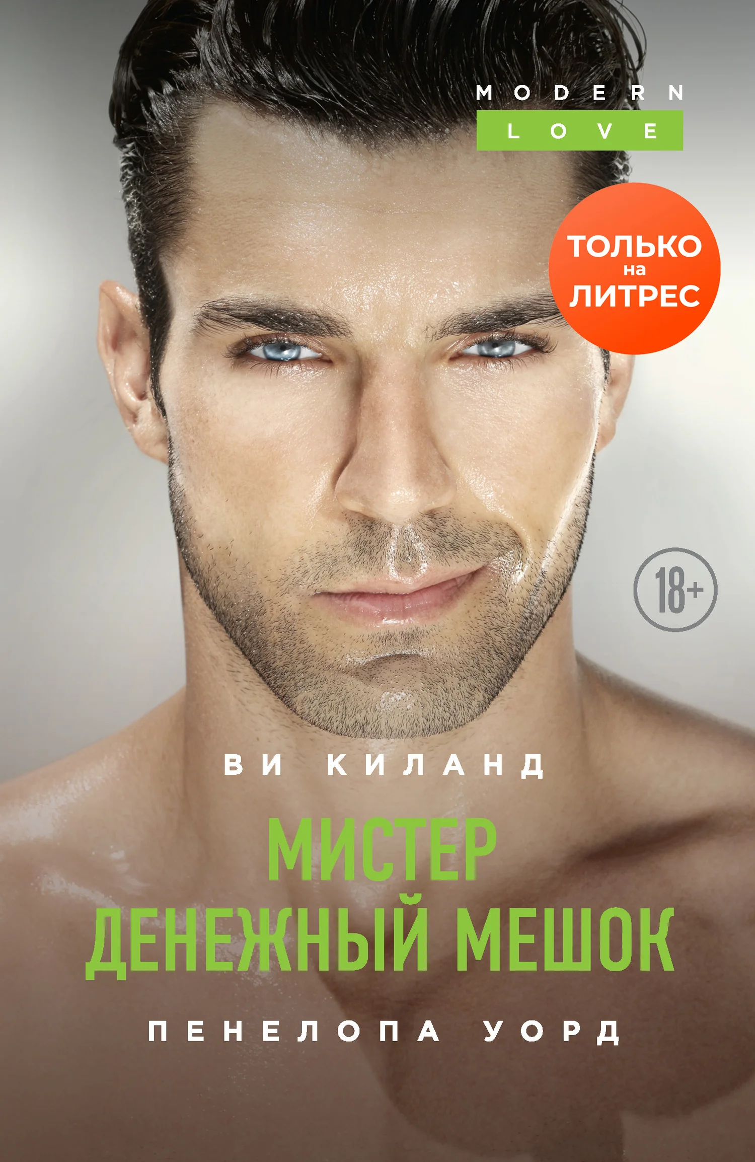 Обложка Мистер Денежный Мешок