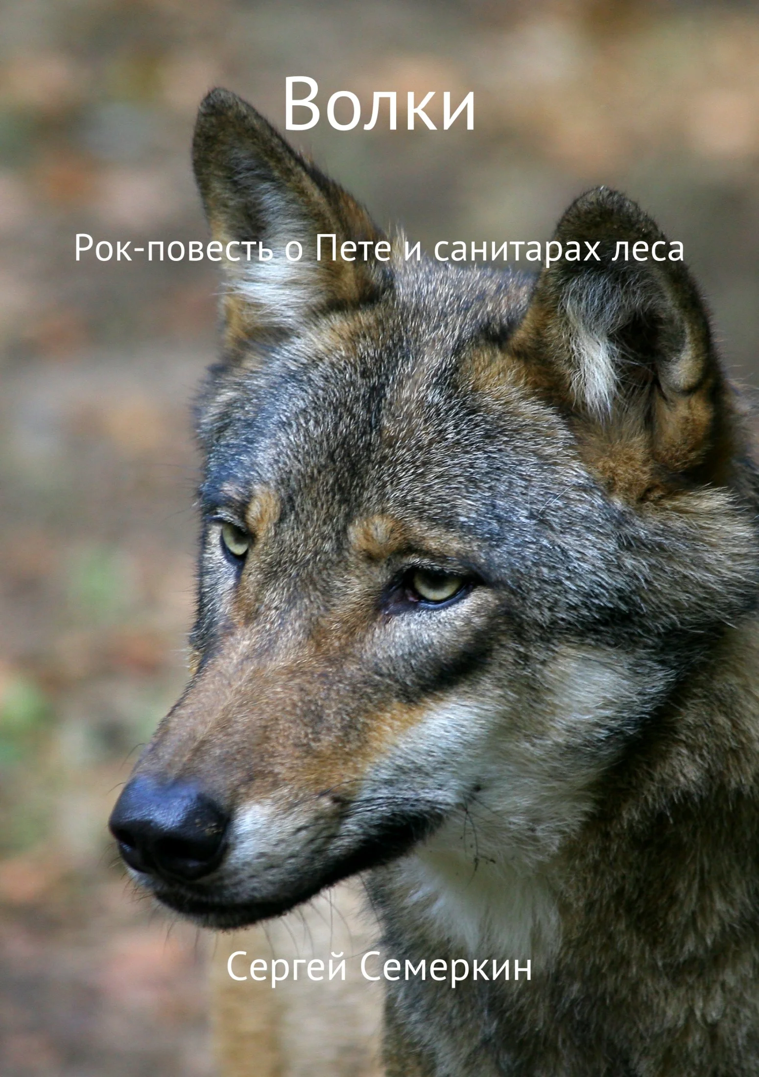 Обложка Волки