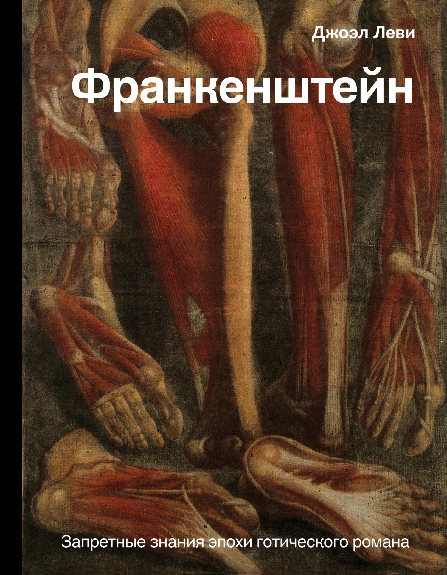 Обложка Франкенштейн. Запретные знания эпохи готического романа