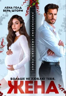 Обложка Больше не люблю тебя, жена