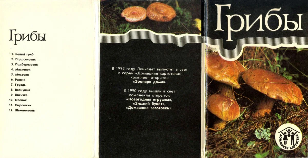 Обложка Грибы. Ершов. Набор открыток