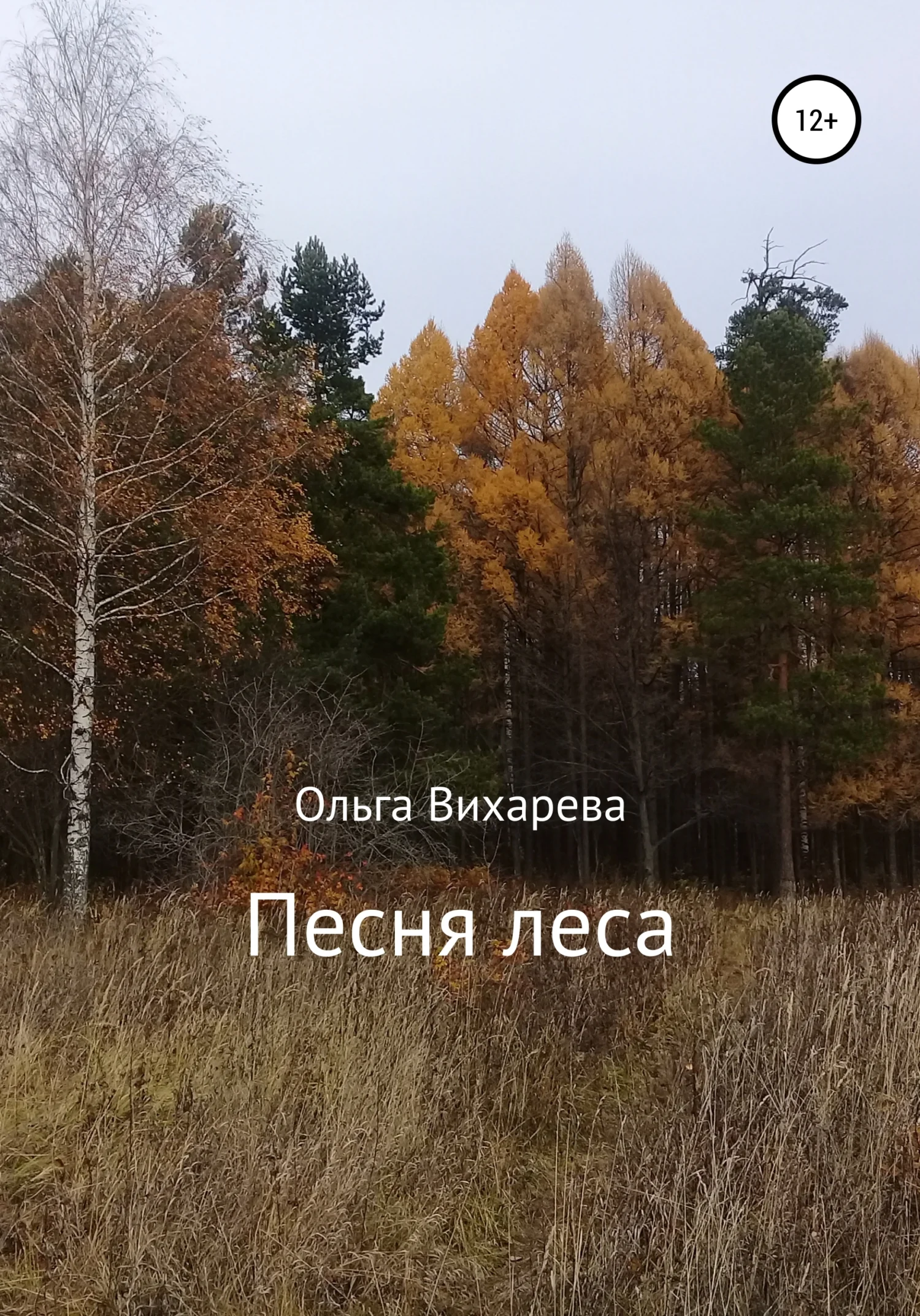 Обложка Песня леса
