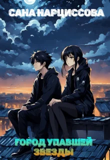 Обложка Город упавшей звезды